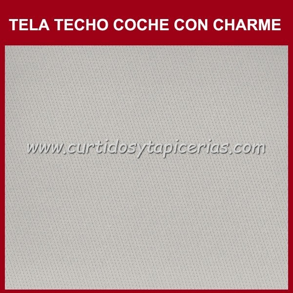 Tela Techo Coche con Charme - Color Gris Claro (Audi A4)