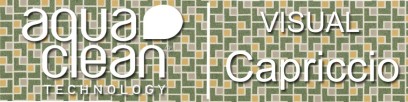 Visual Capriccio